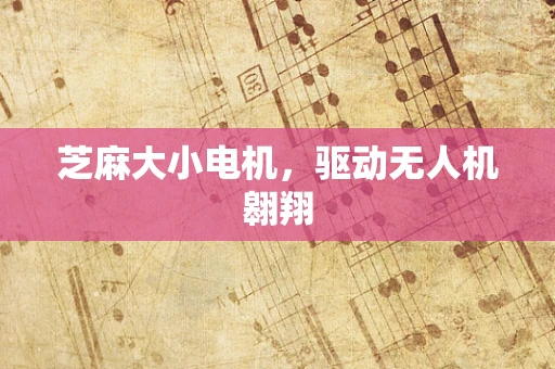 芝麻大小电机，驱动无人机翱翔