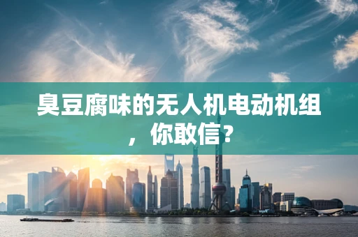 臭豆腐味的无人机电动机组，你敢信？