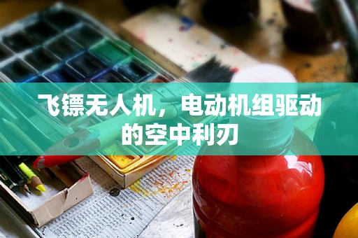 飞镖无人机，电动机组驱动的空中利刃