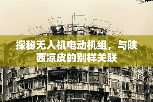 探秘无人机电动机组，与陕西凉皮的别样关联