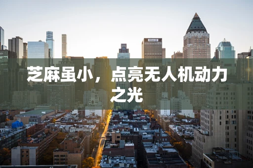 芝麻虽小，点亮无人机动力之光