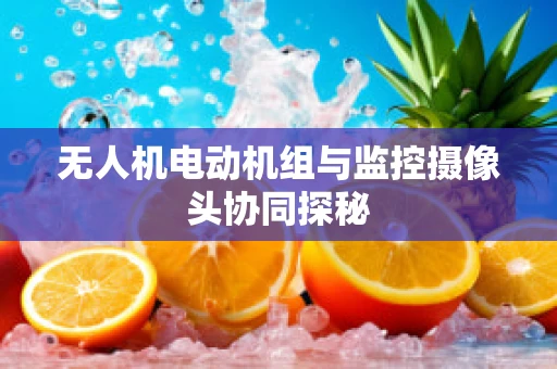 无人机电动机组与监控摄像头协同探秘