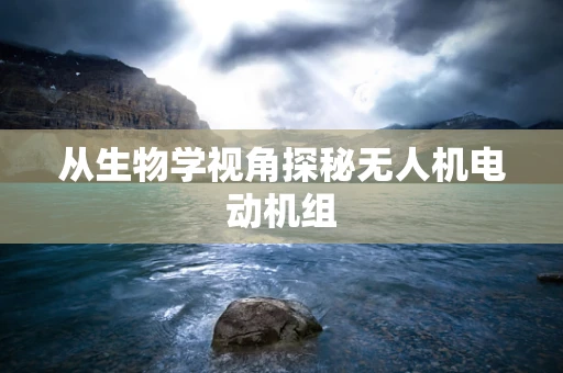从生物学视角探秘无人机电动机组