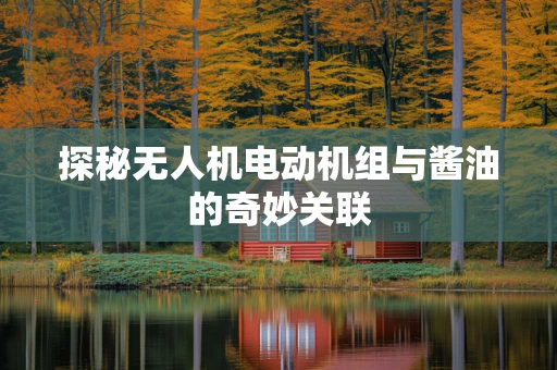 探秘无人机电动机组与酱油的奇妙关联