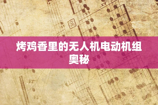 烤鸡香里的无人机电动机组奥秘