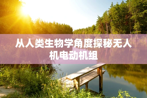 从人类生物学角度探秘无人机电动机组