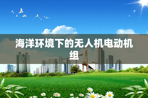 海洋环境下的无人机电动机组
