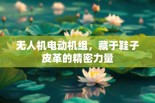 无人机电动机组，藏于鞋子皮革的精密力量