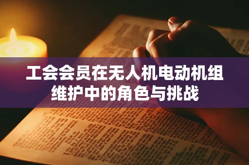 工会会员在无人机电动机组维护中的角色与挑战