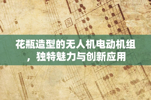 花瓶造型的无人机电动机组，独特魅力与创新应用
