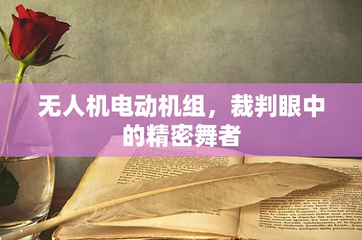 无人机电动机组，裁判眼中的精密舞者