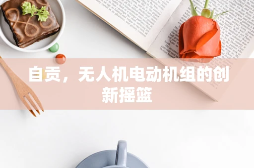 自贡，无人机电动机组的创新摇篮