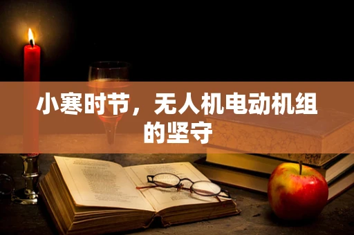 小寒时节，无人机电动机组的坚守