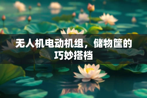 无人机电动机组，储物筐的巧妙搭档