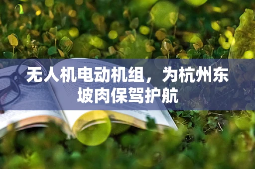 无人机电动机组，为杭州东坡肉保驾护航