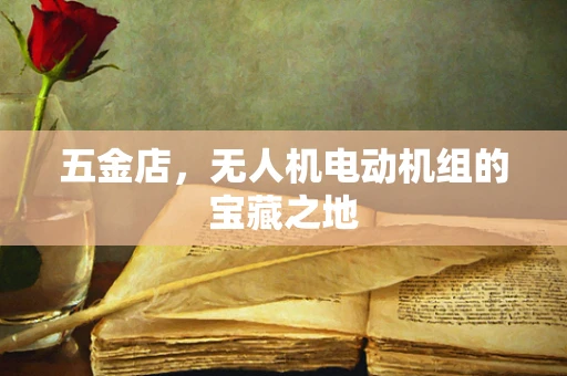 五金店，无人机电动机组的宝藏之地
