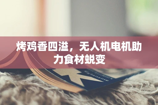 烤鸡香四溢，无人机电机助力食材蜕变