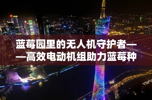 蓝莓园里的无人机守护者——高效电动机组助力蓝莓种植