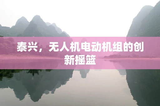 泰兴，无人机电动机组的创新摇篮