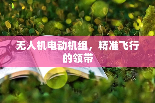 无人机电动机组，精准飞行的领带