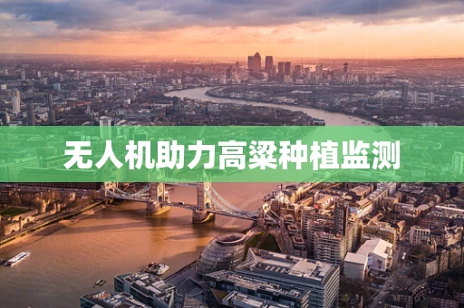 无人机助力高粱种植监测
