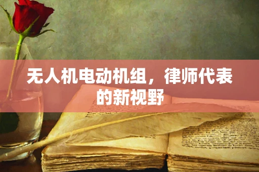 无人机电动机组，律师代表的新视野