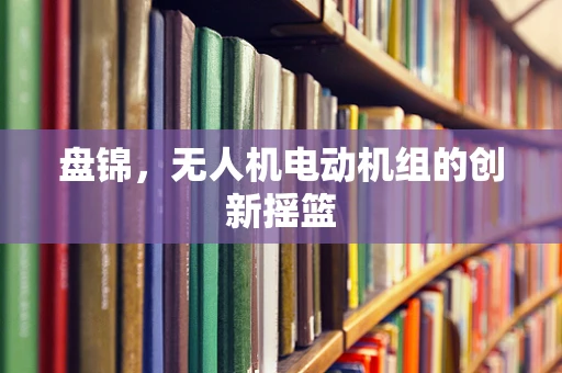 盘锦，无人机电动机组的创新摇篮