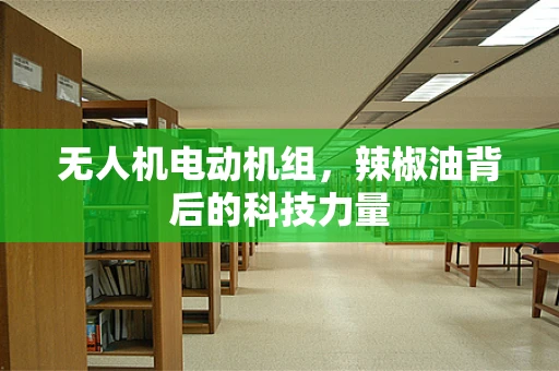 无人机电动机组，辣椒油背后的科技力量