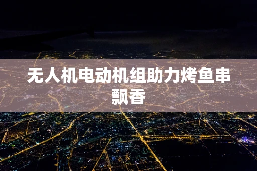 无人机电动机组助力烤鱼串飘香