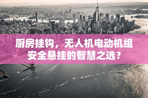 厨房挂钩，无人机电动机组安全悬挂的智慧之选？