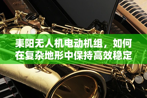 耒阳无人机电动机组，如何在复杂地形中保持高效稳定飞行？