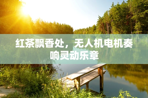 红茶飘香处，无人机电机奏响灵动乐章