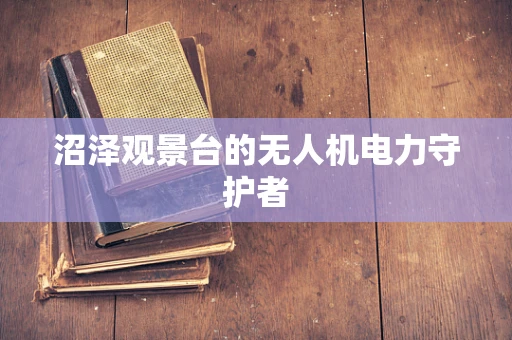 沼泽观景台的无人机电力守护者