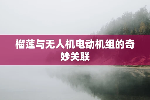 榴莲与无人机电动机组的奇妙关联