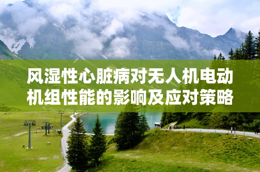 风湿性心脏病对无人机电动机组性能的影响及应对策略