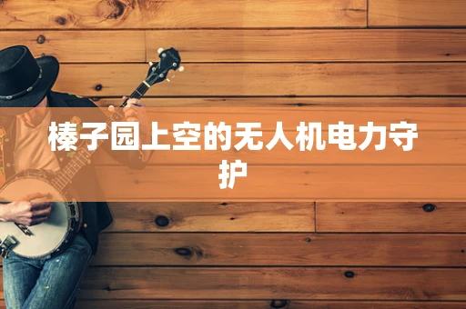 榛子园上空的无人机电力守护