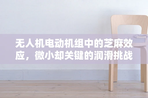 无人机电动机组中的芝麻效应，微小却关键的润滑挑战