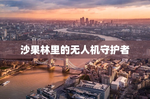 沙果林里的无人机守护者