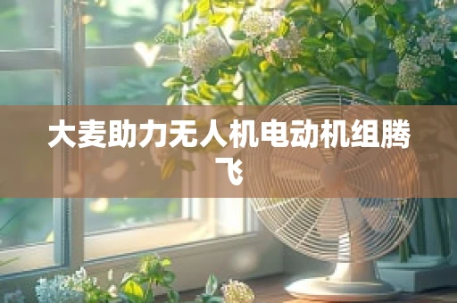 大麦助力无人机电动机组腾飞