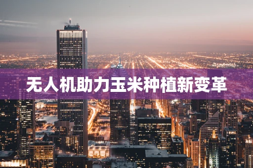 无人机助力玉米种植新变革