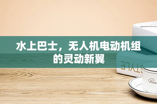 水上巴士，无人机电动机组的灵动新翼