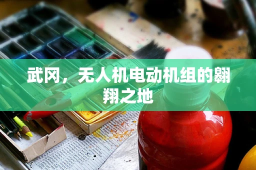 武冈，无人机电动机组的翱翔之地