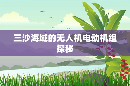 三沙海域的无人机电动机组探秘