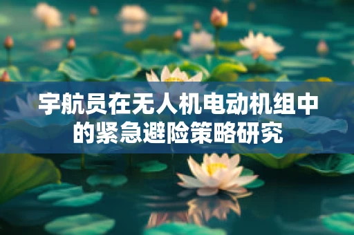 宇航员在无人机电动机组中的紧急避险策略研究