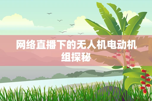 网络直播下的无人机电动机组探秘