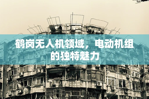 鹤岗无人机领域，电动机组的独特魅力
