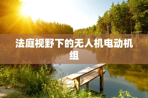 法庭视野下的无人机电动机组