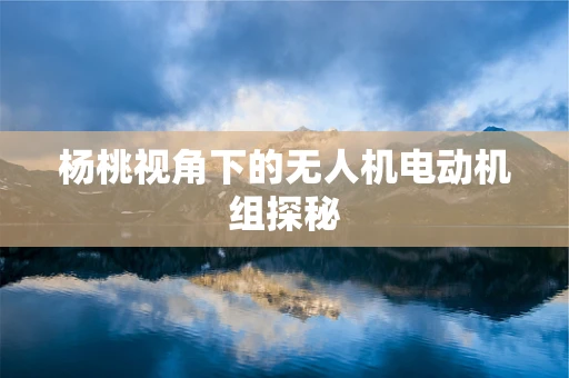杨桃视角下的无人机电动机组探秘