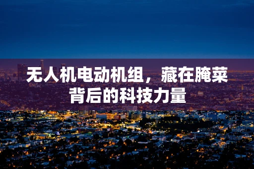 无人机电动机组，藏在腌菜背后的科技力量
