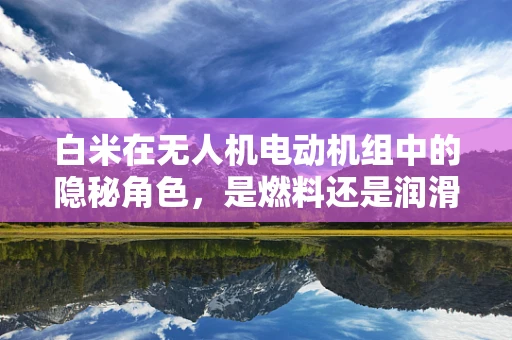 白米在无人机电动机组中的隐秘角色，是燃料还是润滑剂？